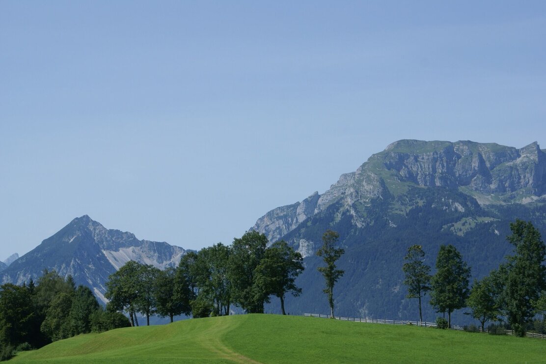 Zimmermoos Brixlegg