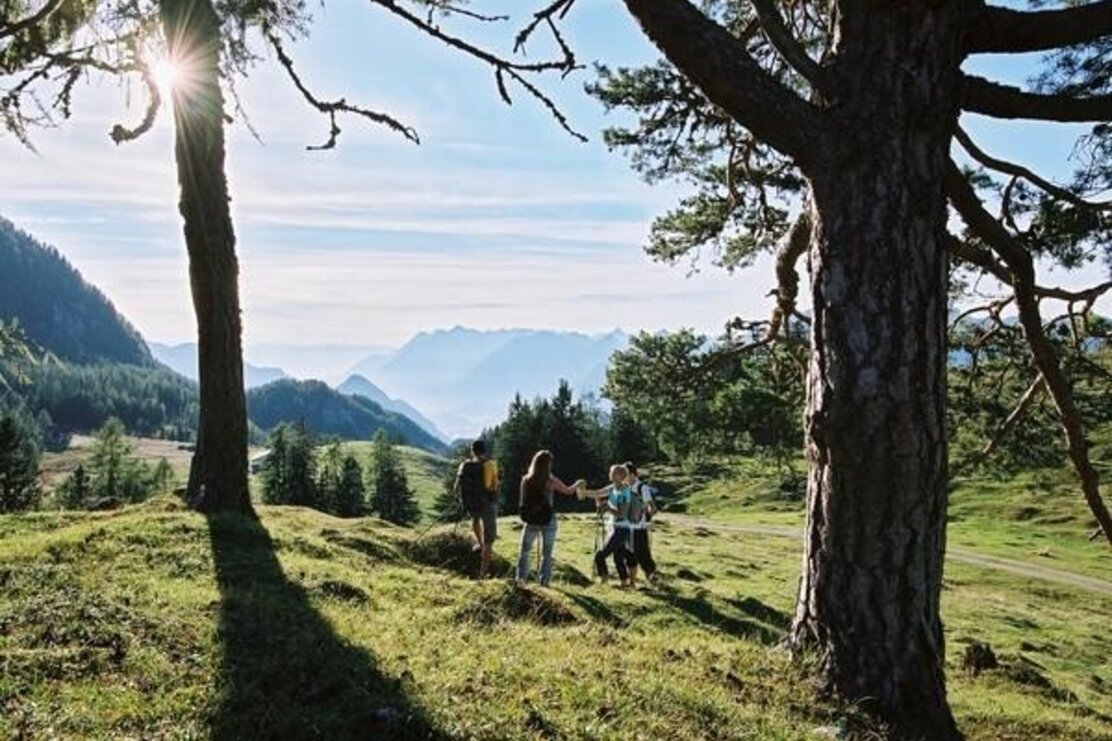 Wandererlebnis am Hochplateau Zimmermoos