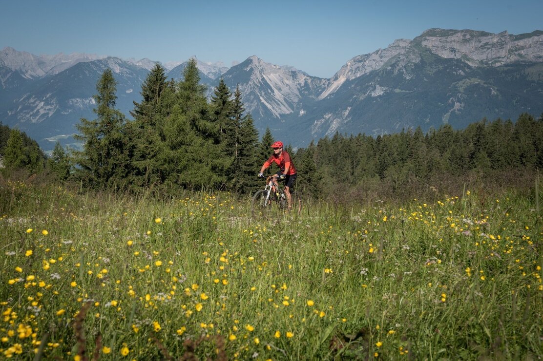 Mountainbiker auf dem Weg zur Holzalm | © Gabriele Grießenböck