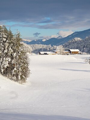 Reintalersee im Winter | © Sandrine Stock Reintalersee im Winter | © Sandrine Stock