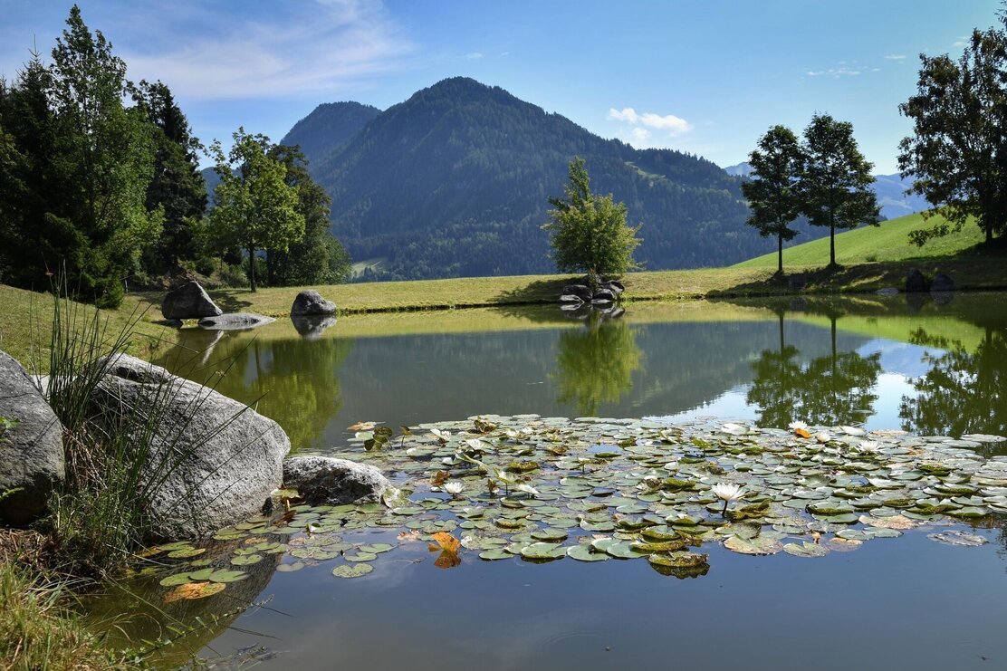 Speicherteich Wölzenberg Reith i.A. | © Gabriele Grießenböck