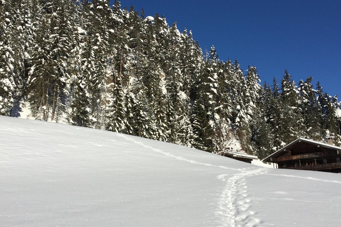 Snowshoe hike on the Reither Kogel | © Birgit Angermair