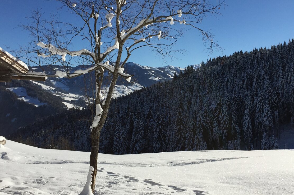 Schneeschuhwanderung am Reither Kogel | © Birgit Angermair