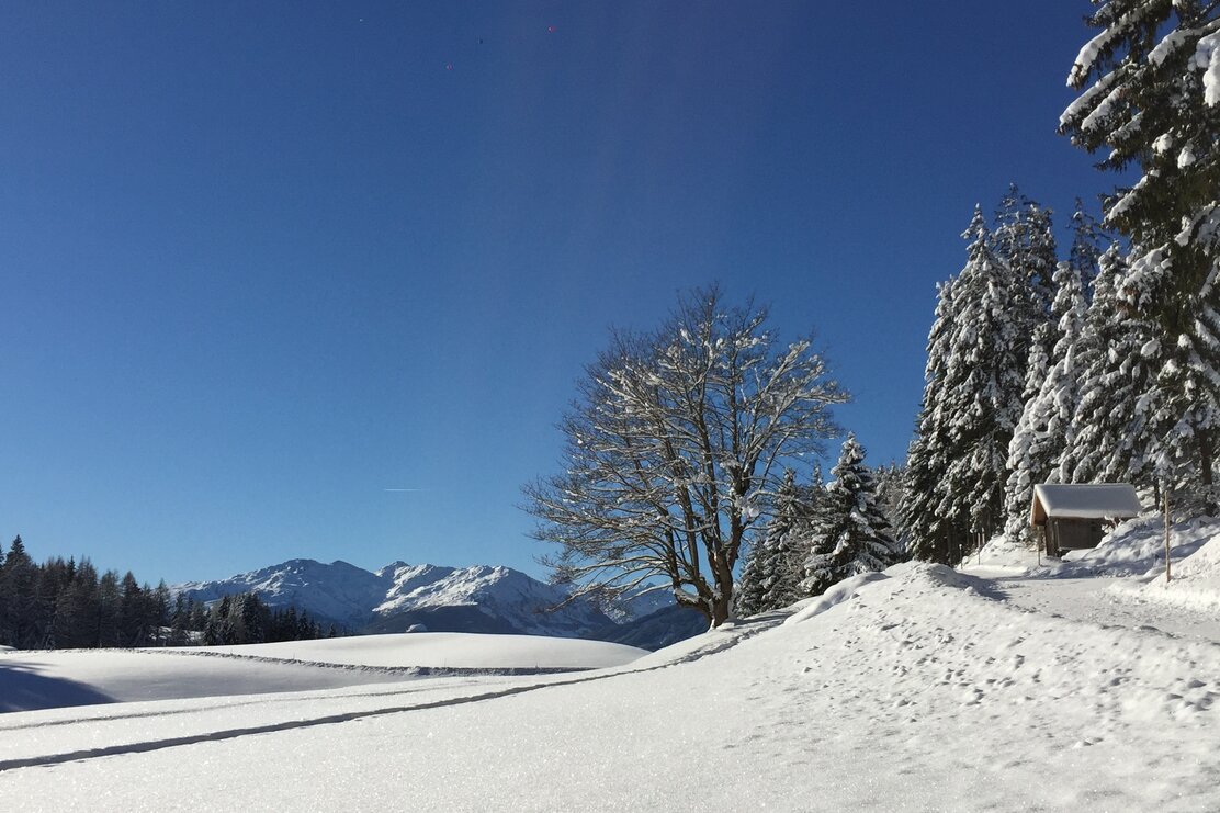 Schneeschuhwanderung am Reither Kogel | © Birgit Angermair