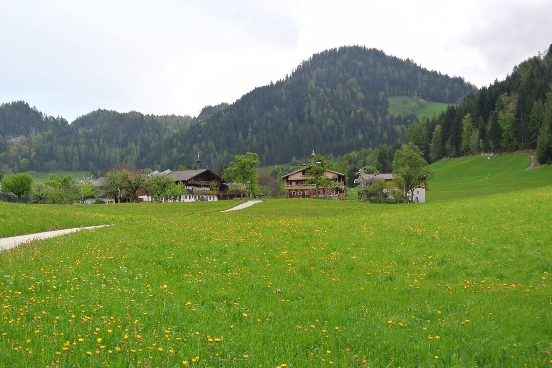 Landschaft Brunnerberg