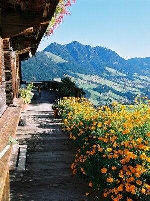 Hechenblaiken Reith im Alpbachtal | © Bernhard Berger Hechenblaiken Reith im Alpbachtal | © Bernhard Berger