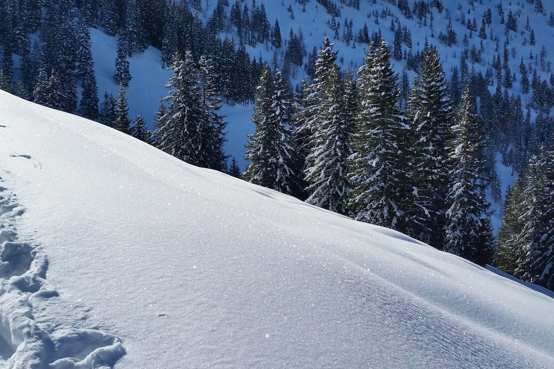 Skitour von Alpbach auf den Schatzberg