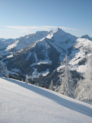 Blick in Richtung Galtenberg | © Adi Moser Blick in Richtung Galtenberg | © Adi Moser