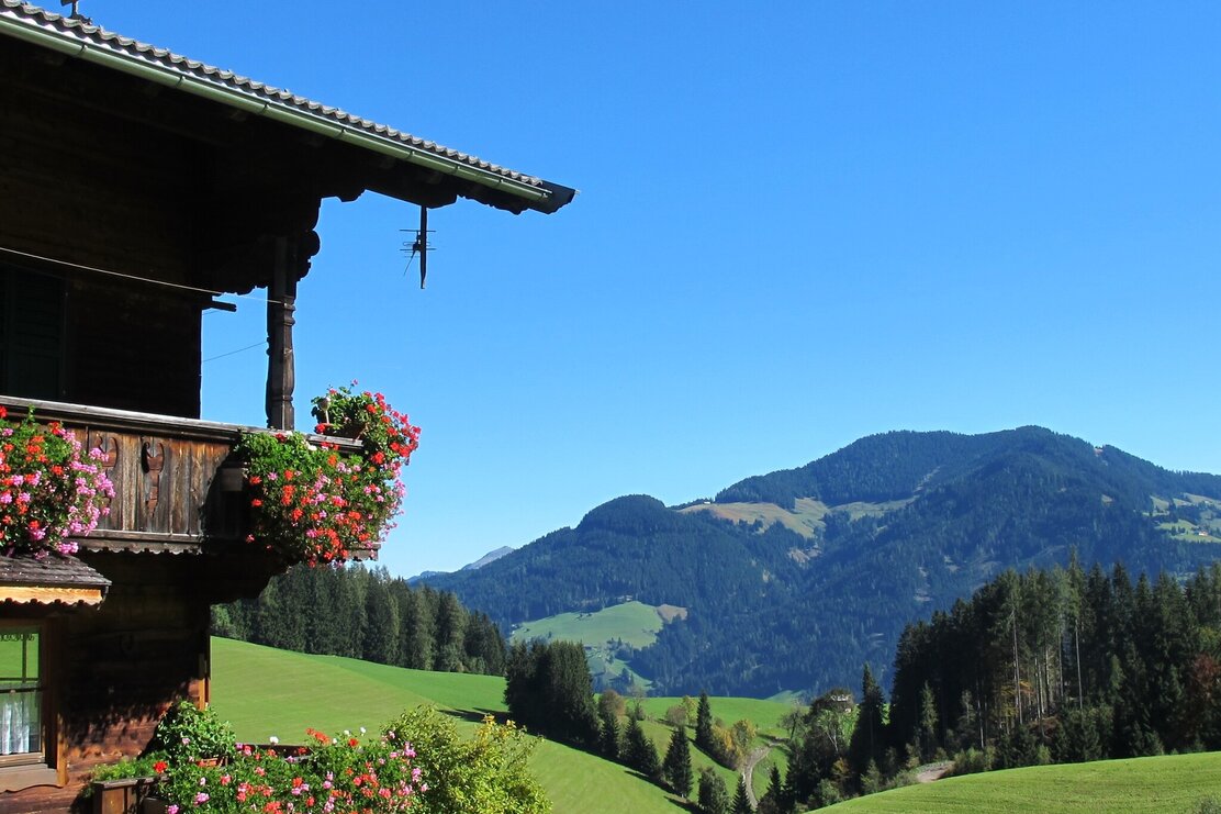 Herbstliche Ausblicke in Thierbach