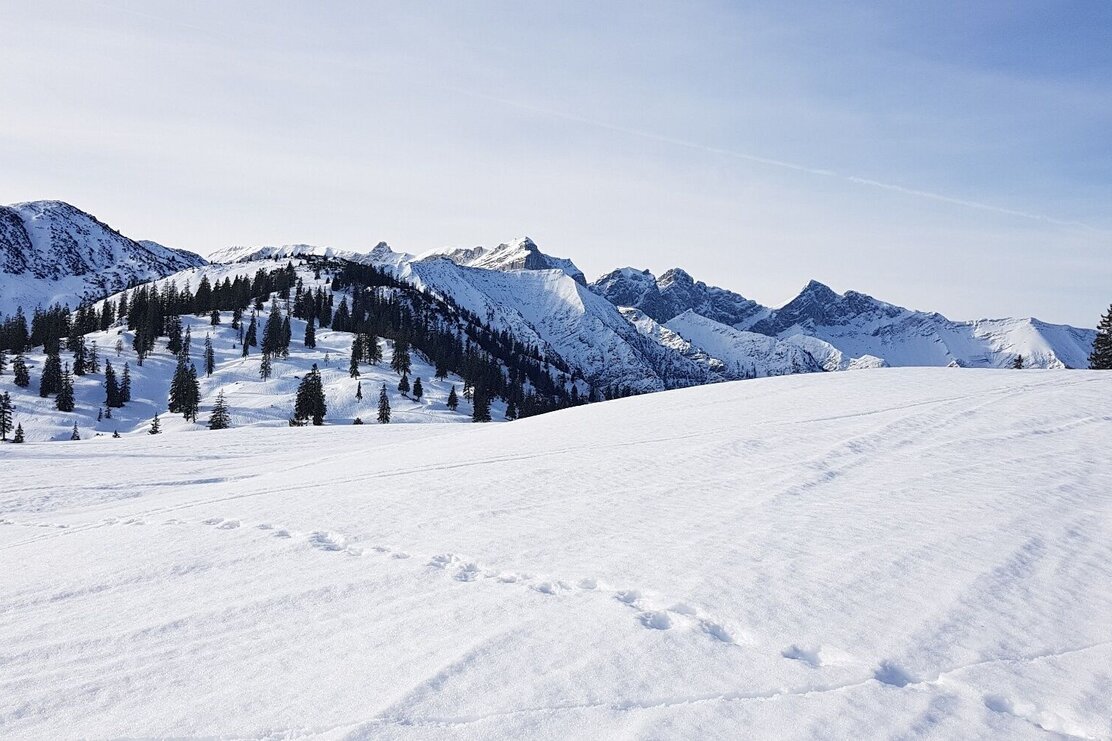 Schneeschuhwanderung Almengebiet Brandenberg | © Sabine Geir