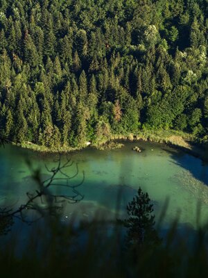 Blick auf Reintalersee Thomas Kargl | © Thomas Kargl Blick auf Reintalersee Thomas Kargl | © Thomas Kargl
