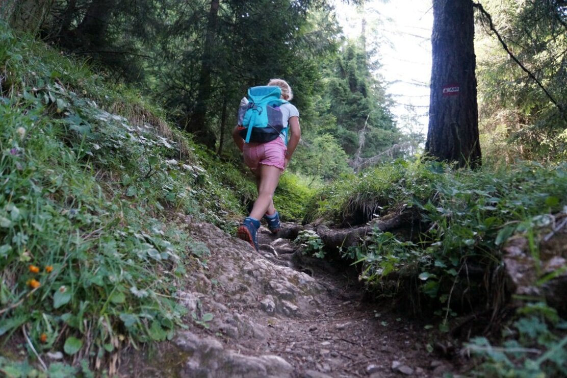 3-Tages-Familientour Auftieg im Wald | © Ute Watzl