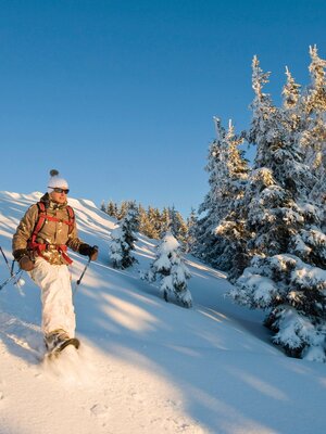 Schneeschuhwanderung Alpbach Schneeschuhwanderung Alpbach