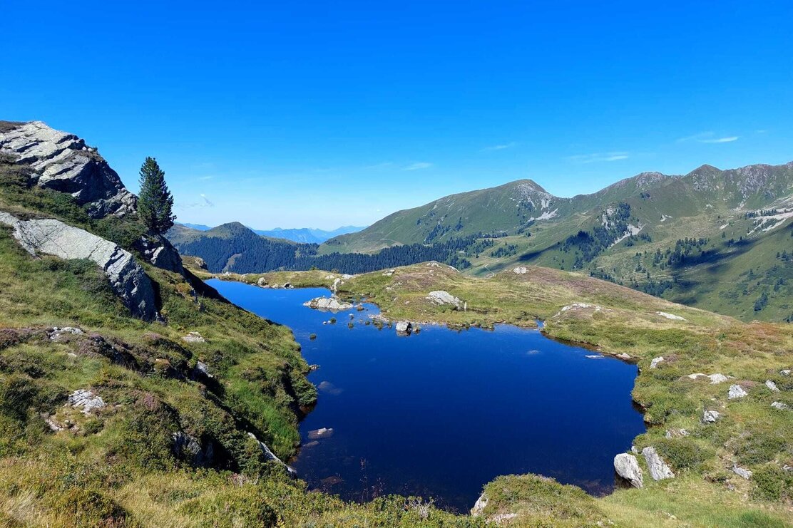 Gruber Lacke beim Torkopf in Alpbach, Inneralpbach, Luegergraben | © Peter Schonner