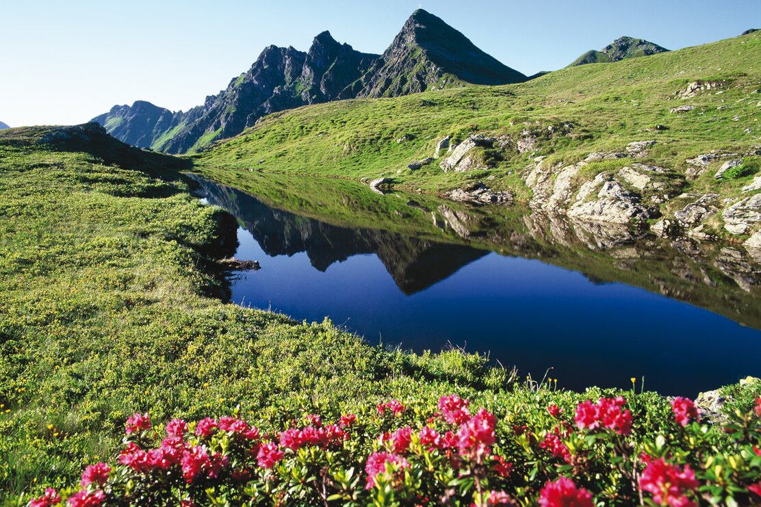 Bergsee und Almrosen Sagtaler Spitzen | © Bernhard Berger
