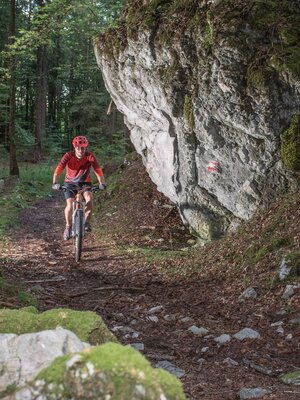 Uphilltrail 358 Holzknecht | © Gabriele Grießenböck