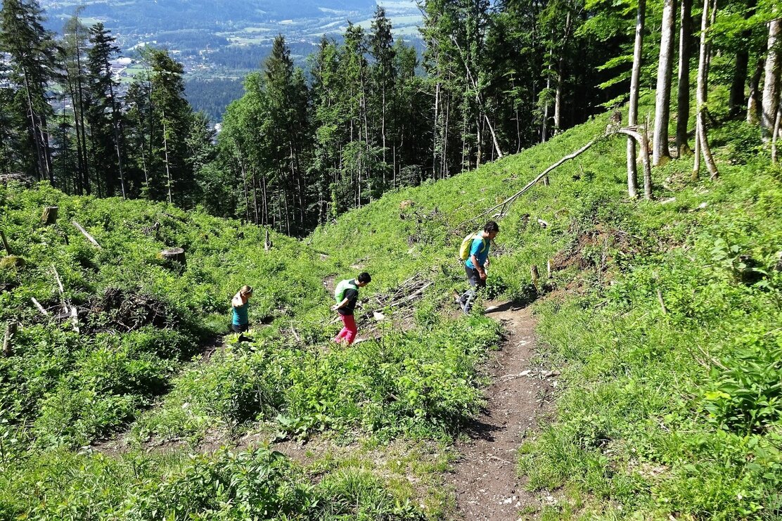 Aufstieg zum Voldöpperer Spitz ab Kramsach | © Michael Larcher