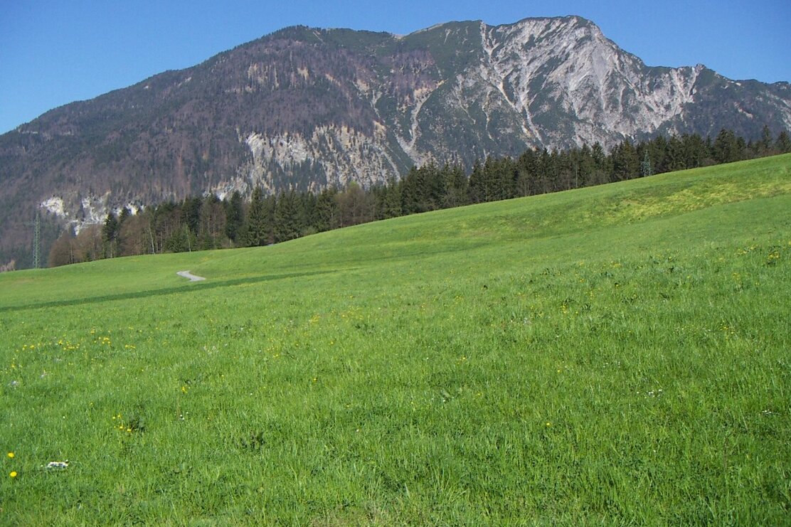 Weg zum Grattauwald, Blick zum Plessenberg