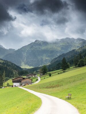 Weg zur Böglalm Inneralpbach | © Matthias Sedlak Weg zur Böglalm Inneralpbach | © Matthias Sedlak