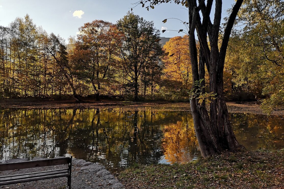 Teich im Matzenpark im Herbst