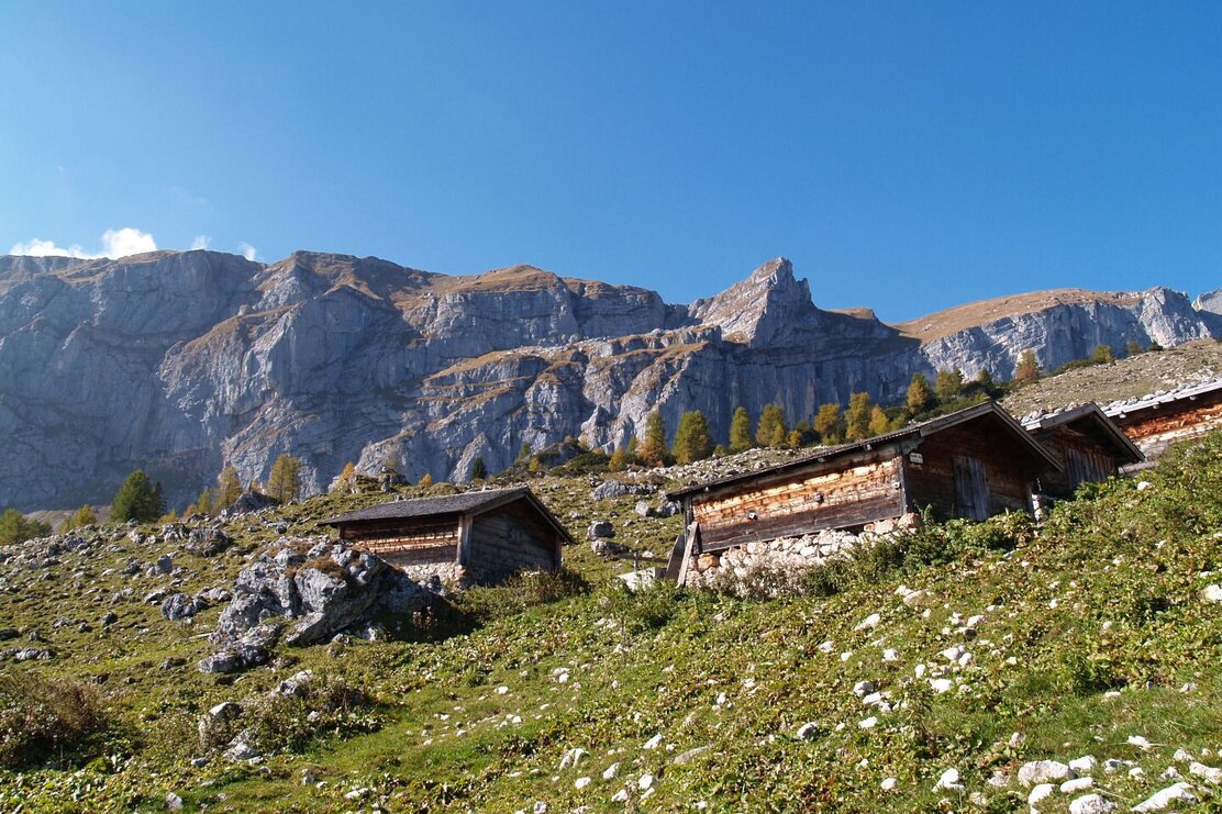 Zireiner Alm