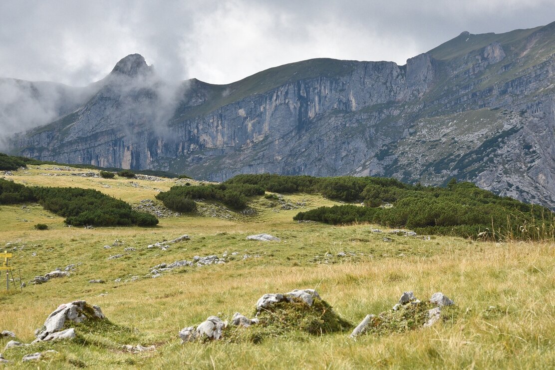 Roßwies - Blick auf den Sagzahn und die Rofanspitze