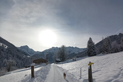 innergreit_alpbachtal_Zufahrt Winter