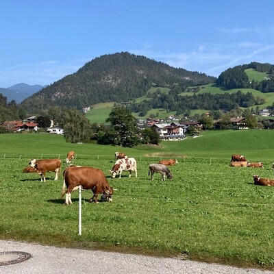 C90443FD-BF76-49DC-9CFF-DE48A2494D7E