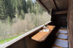 Alpapart Schneider_Alpachtal_Balkony view 1
