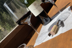 Alpapart Schneider_Alpachtal_balkony view 2