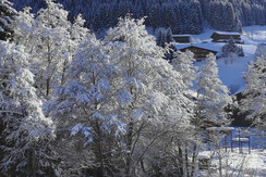 alpbachloft_alpbachtal_viewoncrosscountryslope