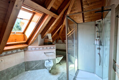 Alpen Loft_Münster_Alpbachtal_Badezimmer