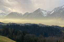 WhatsApp Bild 2023-01-17 um 08.29.19