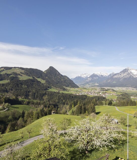 Sommer Pinzgerhof (1) | © Fam. Kammerlander