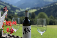 beautiful view from the balcony