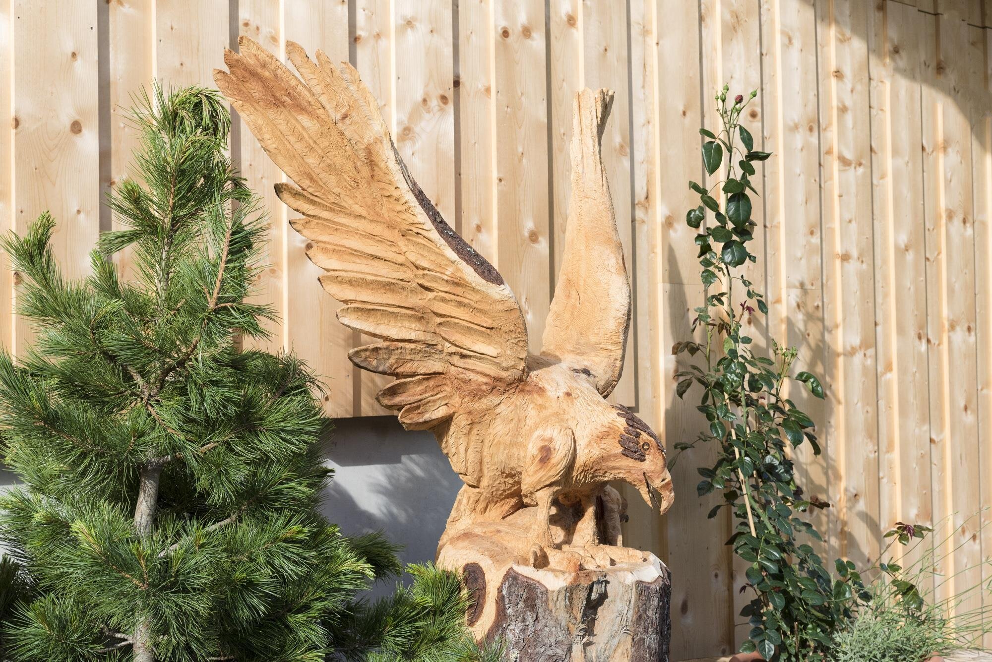 Rosenhof_ Holz_ Alpbach_Adler | © Photoegger