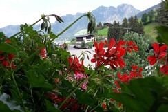 view from the balcony