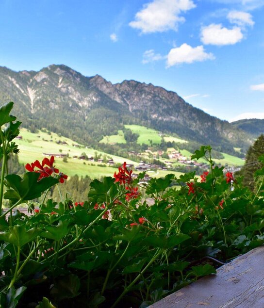 Aussicht | © Alexandra Moser