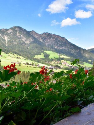Aussicht | © Alexandra Moser