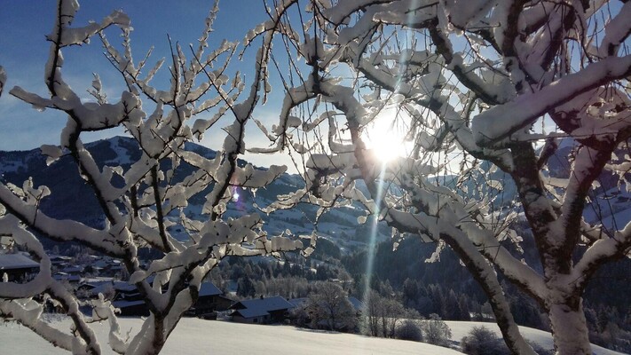 Winterlandschaft | © Aussermooserhof