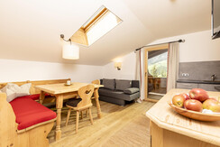 app_5_alpbach_2_bis_4_personen_bergwald_alpbach