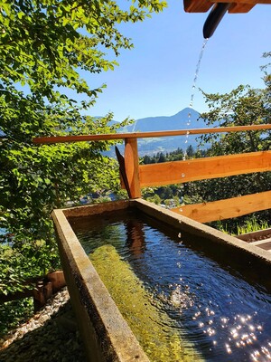 der Brunnen bei der Terrasse