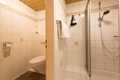 apartment deluxe shower and toilet separate