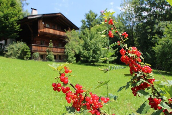 Ferienhaus Schafstall