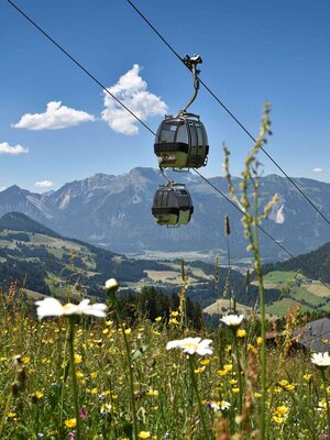 Wiedersbergerhornbahn_hochauflösend_Grießenböck_13