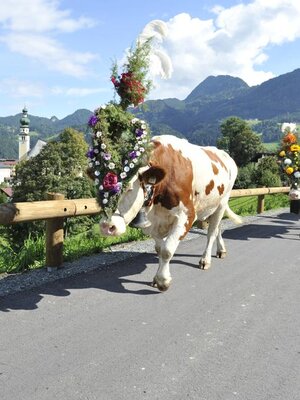 Almabtrieb Reith im Alpbachtal Tirol (52)