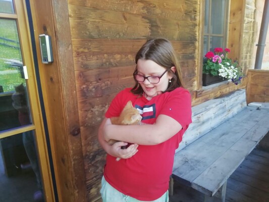 Katze_Babykatze_Bauernhof