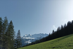innergreit_alpbachtal_Umgebung Innergreit