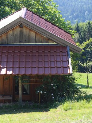 Bienenhaus im Sommer mit blühender Rosenstaude | © Ferienwohnung Kruckenhaus