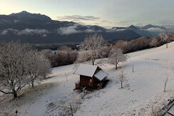 40d91cea-04c4-4932-961f-aebe2a3c338a